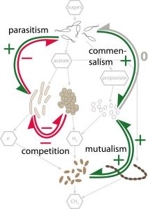 Interactions_fig1b_2025
