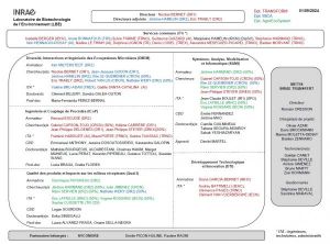 Organigramme2024