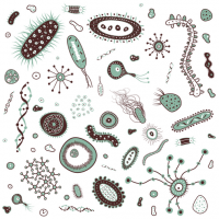 Bacteria-clipart-free-images-4