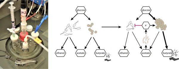 Interactions_fig3_2025