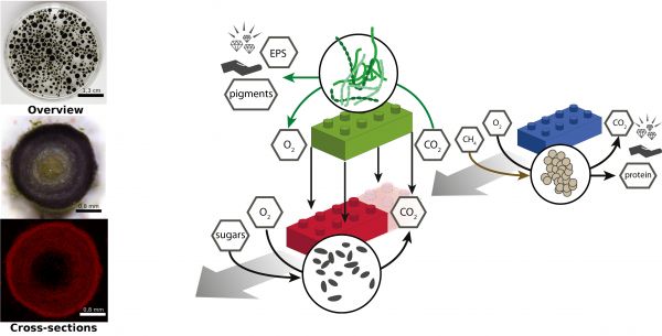 Interactions_fig2_2025
