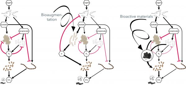 Interactions_fig1a_2025